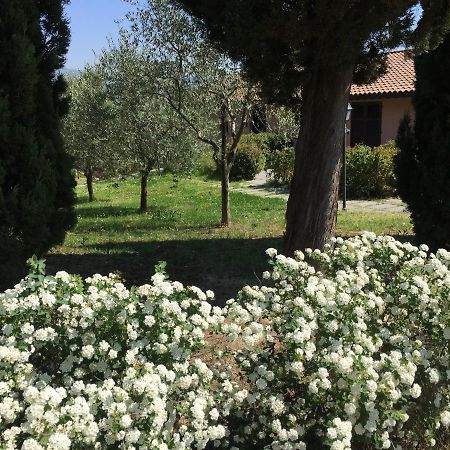 Villa Il Principino Country Resort Vinci Luaran gambar